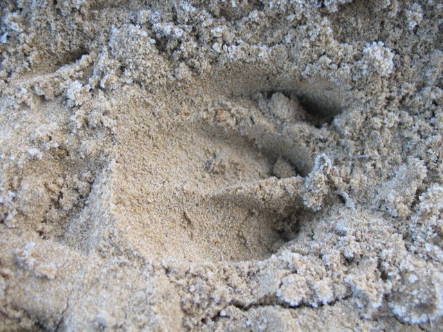 2007 02 Sortie traces 26